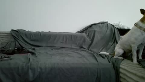 sircheese69x2 online show from June 6, 8:20 am