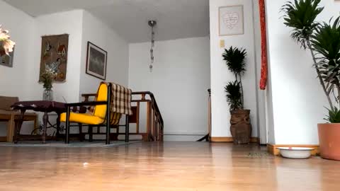 siriss_boyrag online show from May 14, 12:47 pm