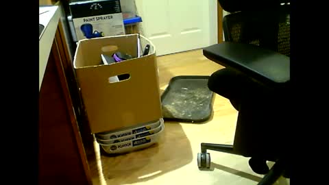 random precision online show from February 26, 10:29 pm