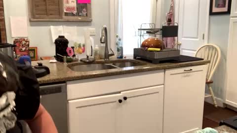 Snapshot of sissymaid_katielynne chatting on January 21, 4:12 pm sissymaid_katielynne online show from January 21, 4:12 pm