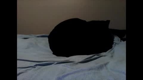 skeeter4fun73 online show from October 30, 9:38 pm