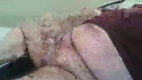 skeguy66 online show from December 9, 11:26 am