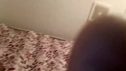 snomann01 online show from January 16, 1:16 am