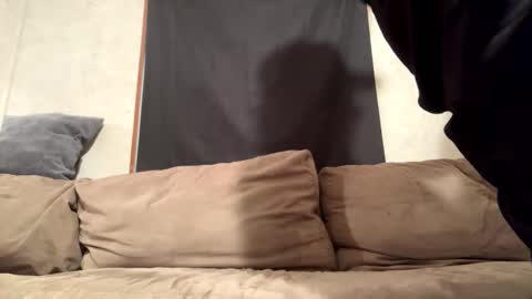 Will Rex online show from November 25, 3:19 am