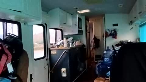 snorkelextradenair online show from December 1, 12:52 pm