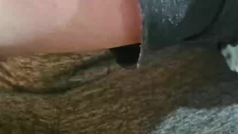 snowplan44 online show from January 13, 3:12 am