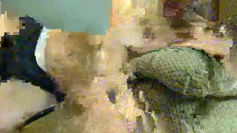 Snapshot of sobadsogood34 chatting on December 12, 12:55 pm sobadsogood34 online show from December 12, 12:55 pm