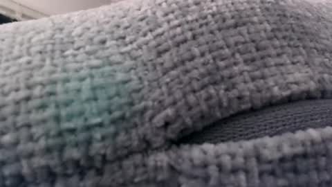 south738 online show from February 23, 7:10 am