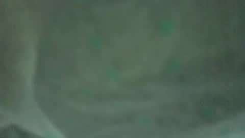 soycule2005 online show from April 10, 10:39 pm