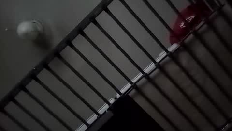 Snapshot of sparkyspeedway chatting on October 24, 11:34 am sparkyspeedway online show from October 24, 11:34 am