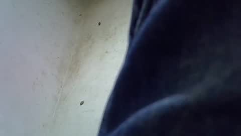 ask in pvt online show from February 13, 11:28 am