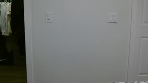 specialiest online show from January 12, 6:12 pm