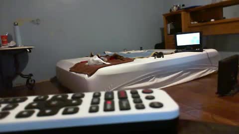 speedsoldier online show from February 21, 11:17 pm