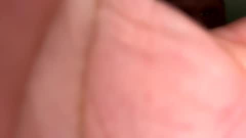 speel6 online show from December 15, 2:48 pm