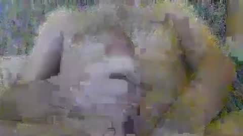 Snapshot of spypsat0 chatting on October 18, 7:46 am spypsat0 online show from October 18, 7:46 am