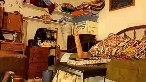 Snapshot of st0ned_d chatting on October 28, 7:44 am Dick online show from October 28, 7:44 am