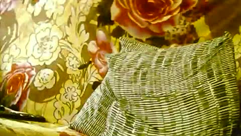 Snapshot of ste_wulf chatting on November 1, 11:31 pm ste_wulf online show from November 1, 11:31 pm