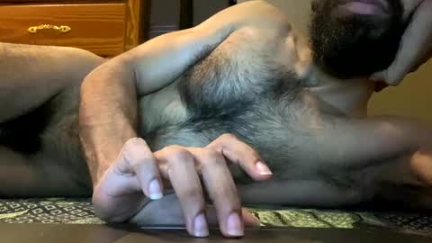 Lobo del Antiguo Oriente online show from April 20, 8:17 am