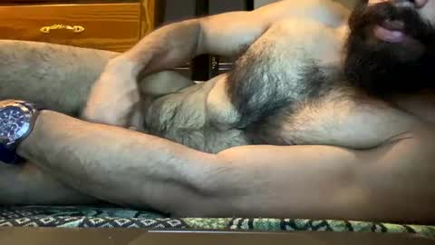 Lobo del Antiguo Oriente online show from May 8, 8:26 am