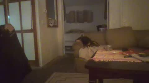 Snapshot of steven903625 chatting on January 10, 6:20 am steven903625 online show from January 10, 6:20 am