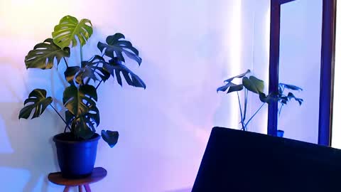 Daniel Steven Navarro online show from April 17, 1:08 am