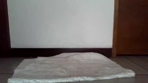 stgo2000caliente online show from February 18, 3:54 pm