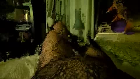 StockingGeek online show from October 18, 6:40 am