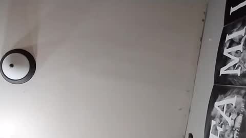 Oval2022 online show from March 26, 12:09 pm