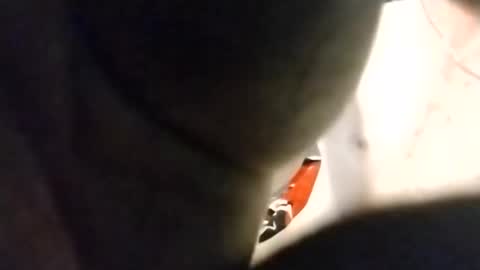 Oval2022 online show from April 12, 1:12 pm