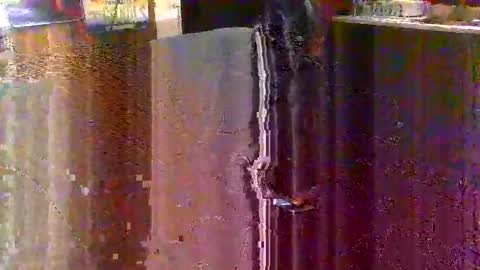 stonecold7734 online show from October 1, 6:39 am