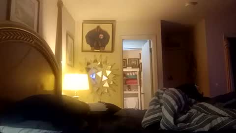 stoppageflo45662 online show from November 7, 4:38 am