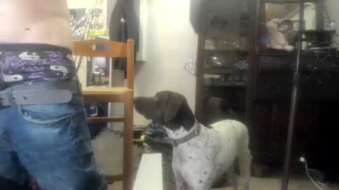 Snapshot of str8foryouguy chatting on December 30, 6:38 pm Str8 online show from December 30, 6:38 pm