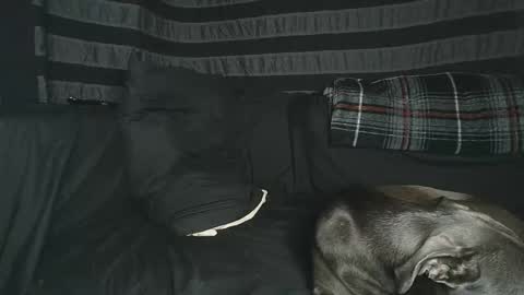 Snapshot of straitpipermann22 chatting on October 20, 5:55 am straitpipermann22 online show from October 20, 5:55 am