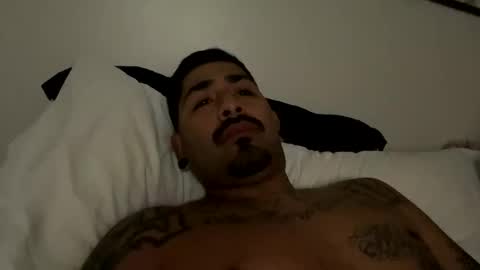 stylezg805 online show from October 28, 12:18 pm