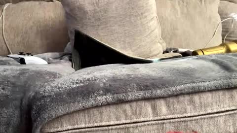 Snapshot of suckmywhitecock25 chatting on January 14, 7:32 pm suckmywhitecock25 online show from January 14, 7:32 pm