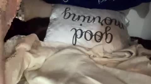 sugadee online show from February 4, 10:43 am