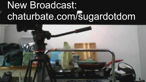 Snapshot of sugargay222 chatting on February 24, 2:30 am Sugar online show from February 24, 2:30 am