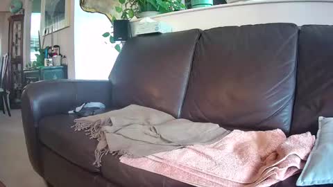 Snapshot of suv1 chatting on September 30, 4:21 pm Otto online show from September 30, 4:21 pm