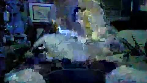 Playboy online show from November 16, 7:10 am