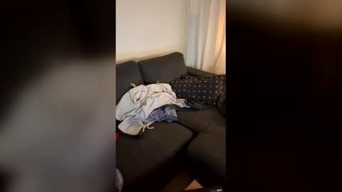 swefirefox online show from January 6, 3:43 am