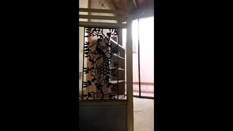 syevecrl online show from January 31, 10:30 pm