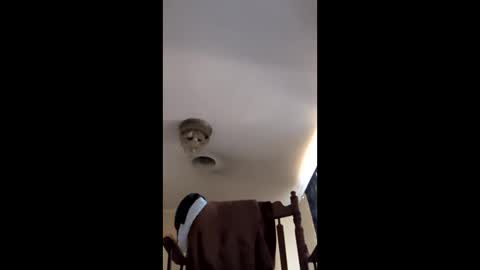 tab7exp online show from March 19, 3:15 pm