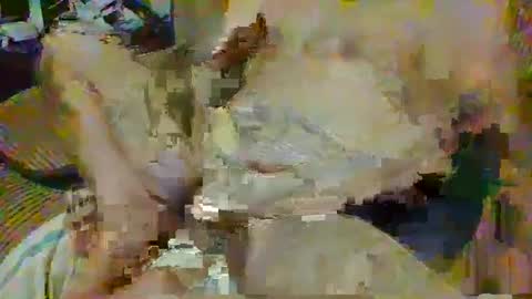 Snapshot of tacozod chatting on February 7, 10:09 pm tacozod online show from February 7, 10:09 pm