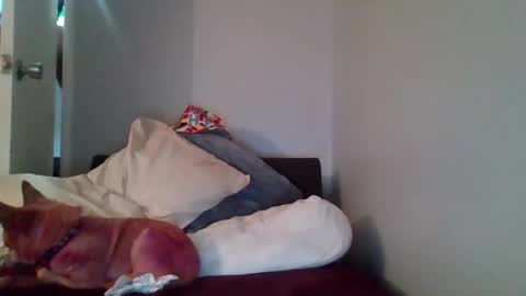 Snapshot of taejhon chatting on December 14, 10:24 am Taejhon online show from December 14, 10:24 am