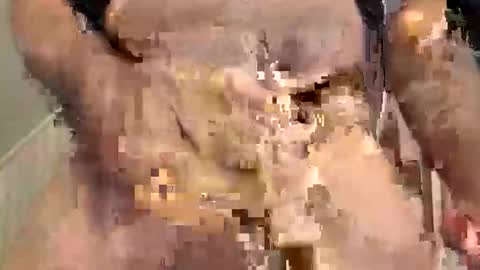 tailblazzer online show from October 29, 7:22 am