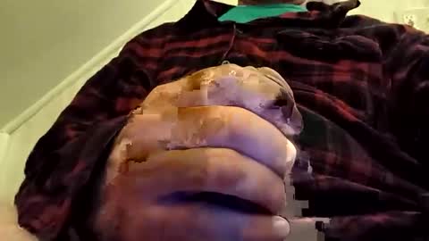 tailblazzer online show from October 21, 5:54 am