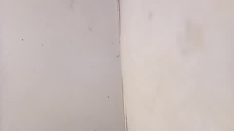 tall6feet7inch online show from February 3, 7:13 am