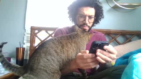 taurusbaeforever online show from April 13, 1:45 pm