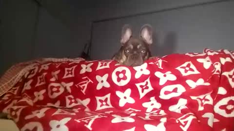 tay754878 online show from November 7, 12:19 pm