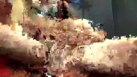 Tbiz82 online show from March 24, 11:37 am